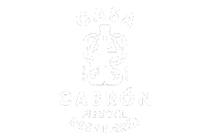 logo top